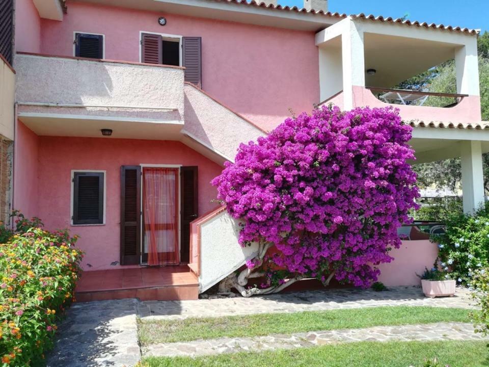Casa Smeralda Cannigione Zewnętrze zdjęcie